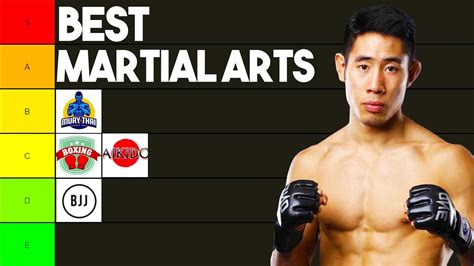 Best Martial Arts Ranked By PRO MMA Fighter