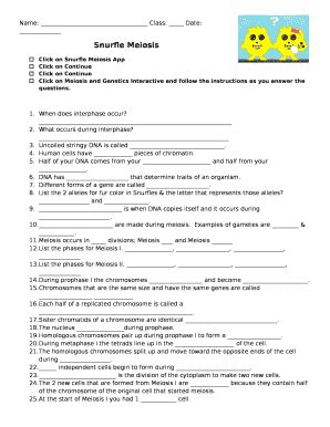 Snurfle Meiosis Worksheet - Snurfle Meiosis Worksheets : If you don't see any interesting for ...