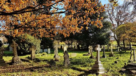 Download free photo of Churchyard, graves, trees, death, mood - from ...