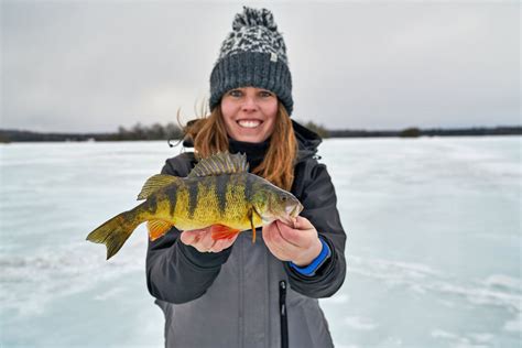 Ice Fishing for perch in Ontario: Tips and Equipment | SAIL Blog