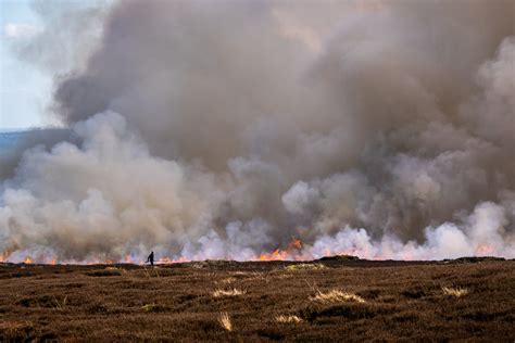 Prescribed fire in UK heather-dominated blanket bog peatlands: a ...