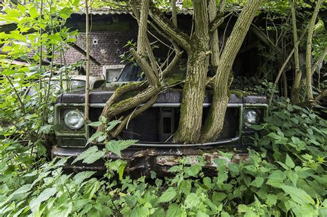 World without humans: Stunning pictures show the 'post-apocalyptic' places where nature has ...