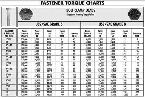 Top 5 Digital Torque Wrenches for Precision Tightening: Our In-Depth Review - Garage Sanctum