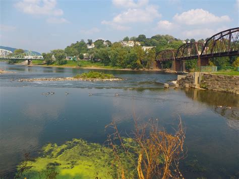 The Great Lakes of NYC: Lehigh River for carp