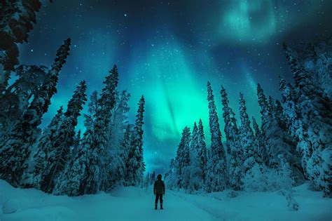 On the Hunt for the Northern Lights — VisitFinland.com in 2020 | Northern lights, See the ...