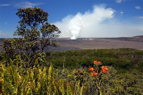 Elite Volcano Hiking Tour | Best Hilo Adventure Tours