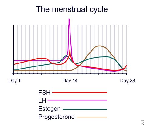 Natural Birth Control