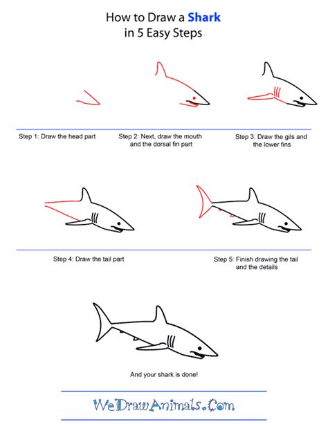 How To Draw A Shark