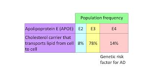 Ignoring The APOE-e4 Testing – Nevertheless Dementia, We Persist