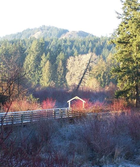 Hiking & Walking Trails - City of Langford