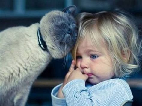 13 Seriously Adorable Pictures Of Animals With Their Baby Humans. No 6 Is So Cute! Photo Chat ...