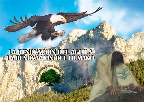 RENOVACIÓN DEL ÁGUILA RENOVACIÓN DEL HUMANO | EL VERDADERO ISRAEL DE YAHWEH