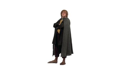 Merry Brandybuck Costume | Carbon Costume | DIY Dress-Up Guides for Cosplay & Halloween