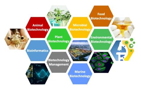 Environmental Biotechnology – BBTech