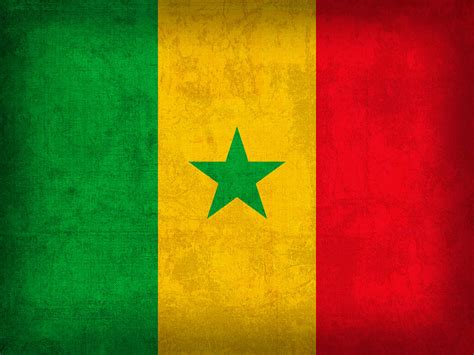 Senegal Flag Vintage Distressed Finish Mixed Media by Design Turnpike - Fine Art America