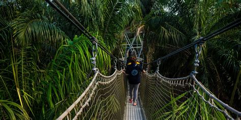 Lekki Conservation Centre: A Comprehensive Guide