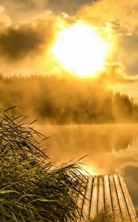 Foggy Golden Sunrise 4K Ultra HD Mobile Phone Wallpaper