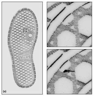 Quantitative Assessment of Shoeprint Accidental Patterns with Implications Regarding Similarity ...