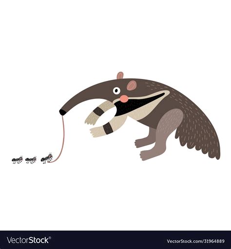 Anteater eating ants Royalty Free Vector Image