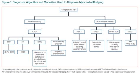 Myocardial Bridge Symptoms - Best Image Viajeperu.org