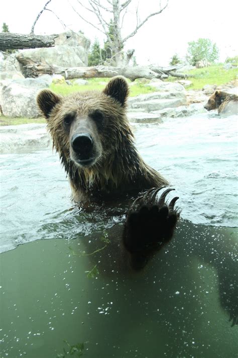 Minnesota Zoo | Explore Minnesota