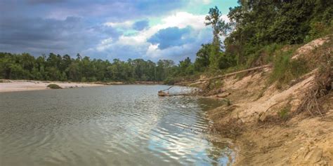 Jesse Jones Park Nature Center | North Houston Association