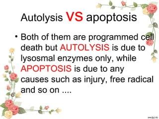 Autolysis pathology ppt | PPT