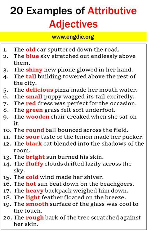 20 Examples of Attributive adjectives in Sentences - EngDic