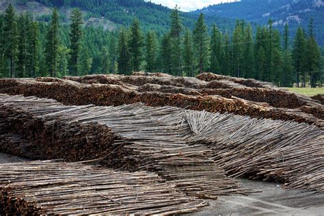 Timber yard, Midway, Canada - Stock Photo - Dissolve