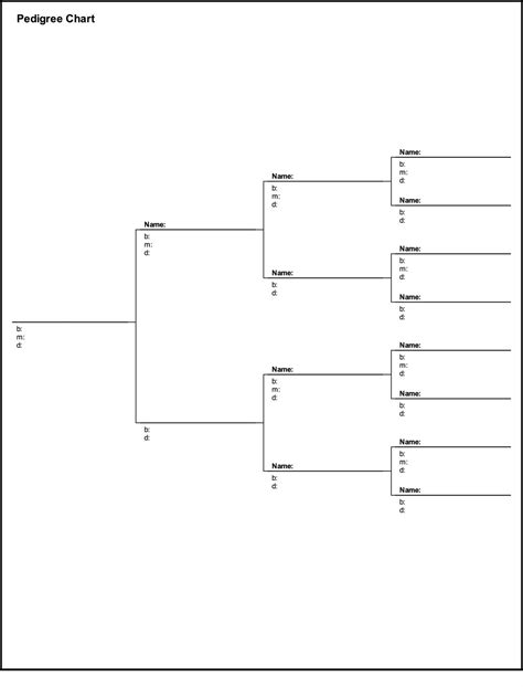 4 Generation Pedigree Chart Template | HQ Printable Documents