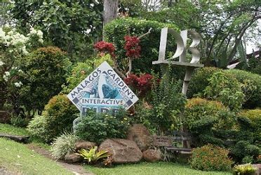 Malagos Garden Resort - RealBreeze Davao Tour Packages