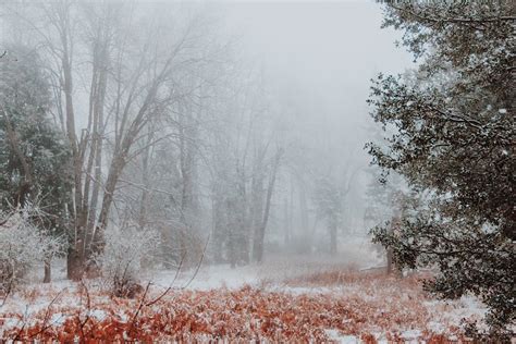 Picture-Perfect Snow Day At Palomar Mountain: Photos Of The Week | Escondido, CA Patch