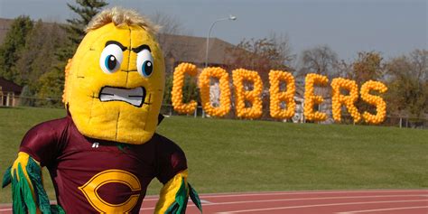 11 Decidedly Unintimidating College Mascots - 11 Points