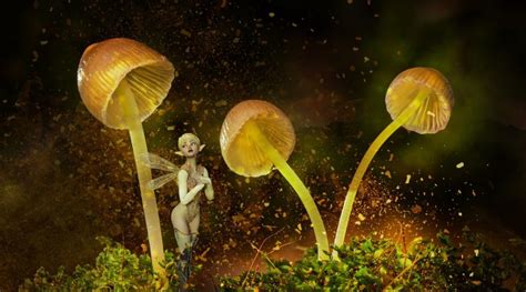 Let's All Argue About DMT Elves: Are They Real or Not?