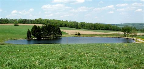 Commercial Farm Pond Managment