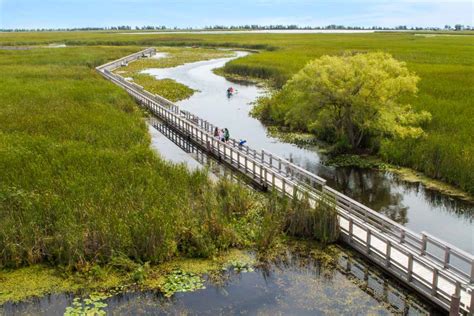 Point Pelee National Park Camping: Tips For Visiting The Southernmost Point in Mainland Canada ...