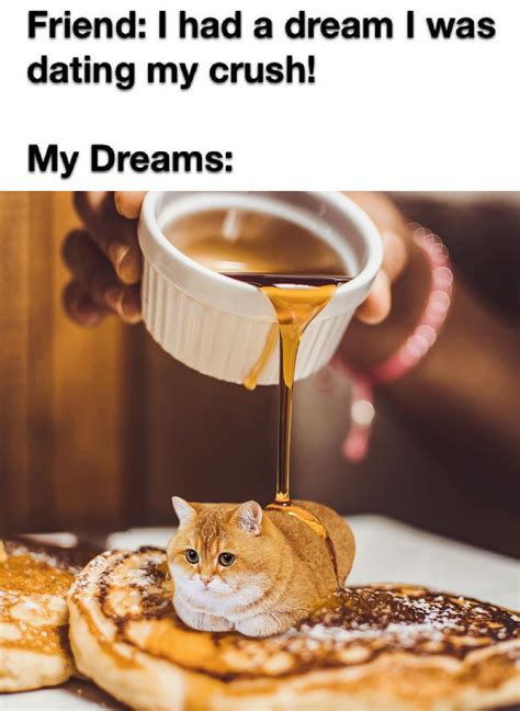 Pancake Cat with Maple Syrup : r/dankmemes