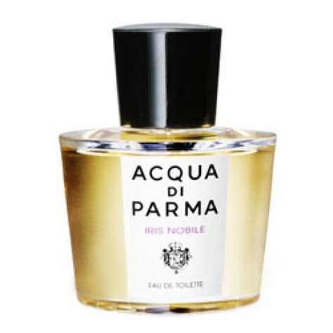 Three Best Iris Perfumes For Women and Men | HubPages