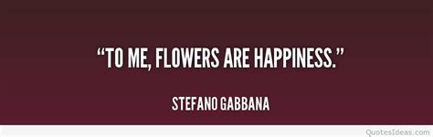 Stefano Gabbana Quotes. QuotesGram