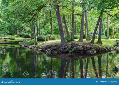 Pond in the Botanical Park, Palanga, Lithuania Stock Photo - Image of ...