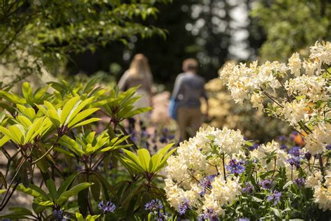 Visit – Rhododendron Species Botanical Garden