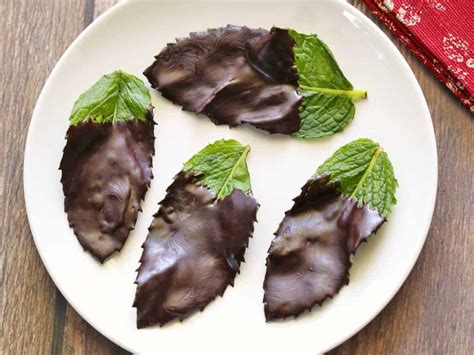 Chocolate Mint Leaves - Healthy Recipes Blog