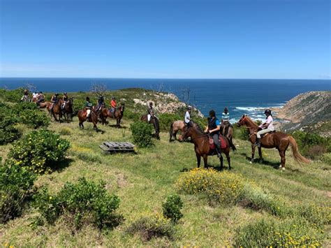 7 fun things to do in pretty Plettenberg Bay