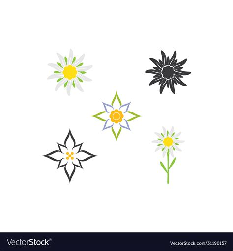 Edelweiss logo Royalty Free Vector Image - VectorStock