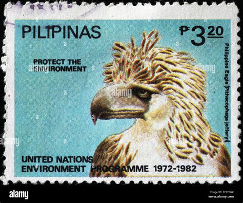 Philippine eagle on postage stamp Stock Photo - Alamy