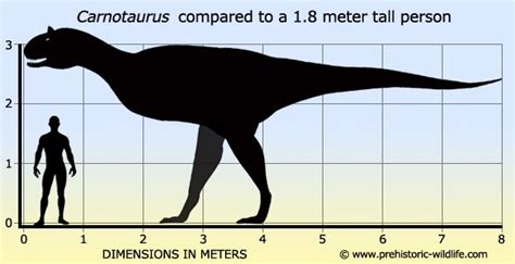 Image - Carnotaurus size.jpg | Jurassic Park wiki | FANDOM powered by Wikia