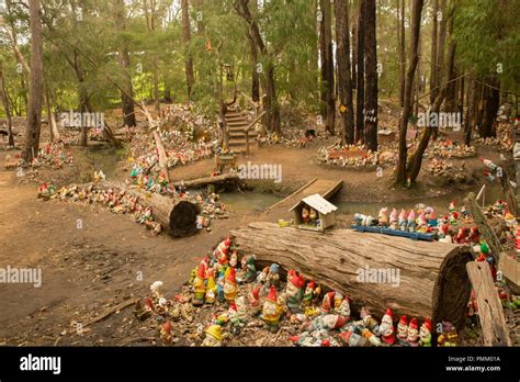 Gnomesville before the Great Gnomesville Flood of 2018 Stock Photo - Alamy