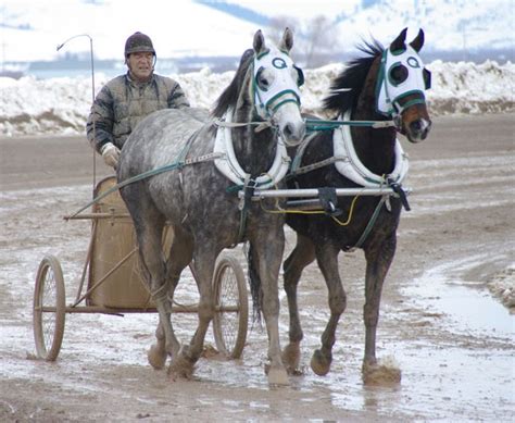 Ross Walker photography: Chariot race photos