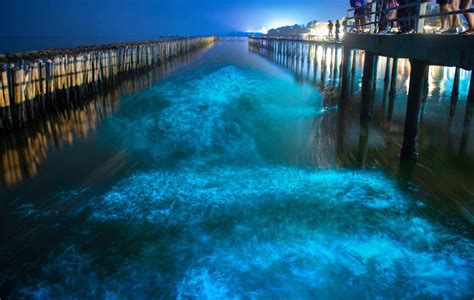 Top 5 Bioluminescent beaches in Thailand that will blow your mind - Travel Center Blog