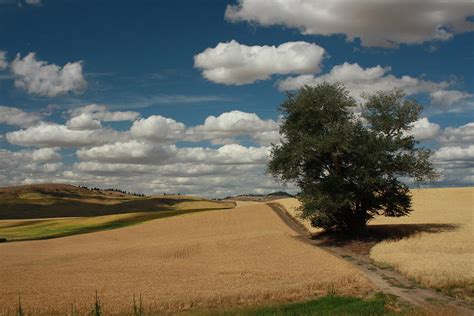 Palouse Farming Photograph by Sarah Hamilton - Pixels